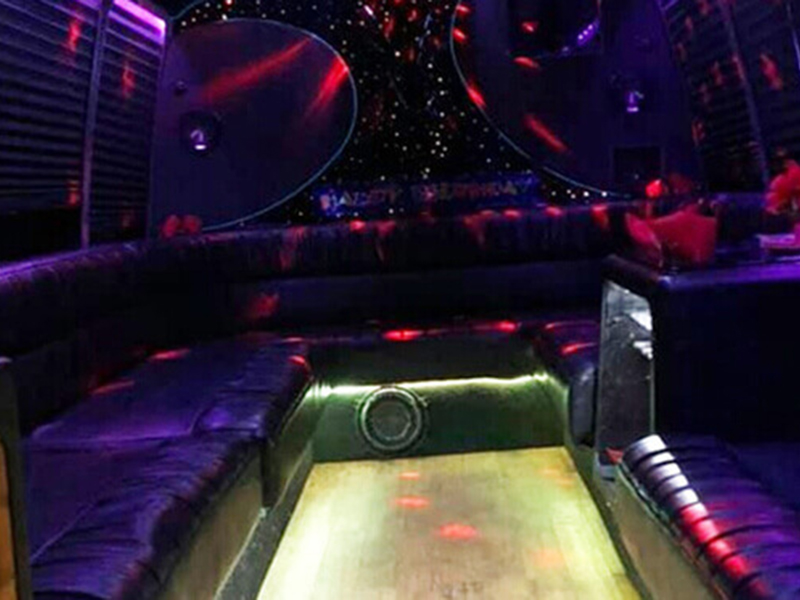 14-passenger party bus interior